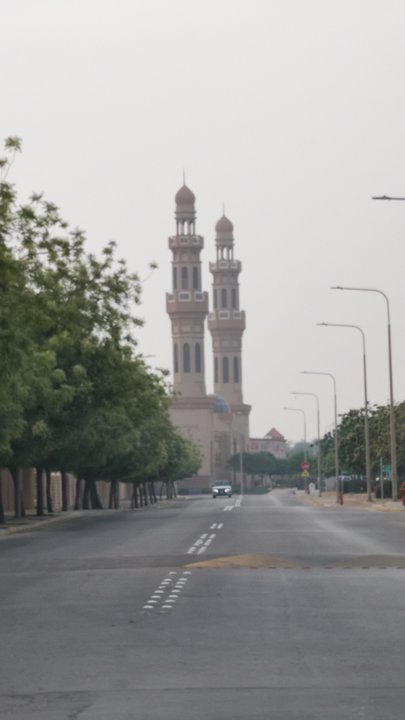 مشاركاتي في أنت الراصد