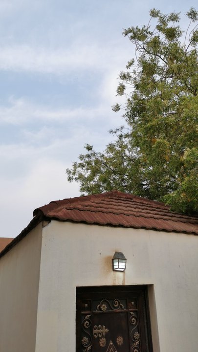 مشاركاتي في أنت الراصد