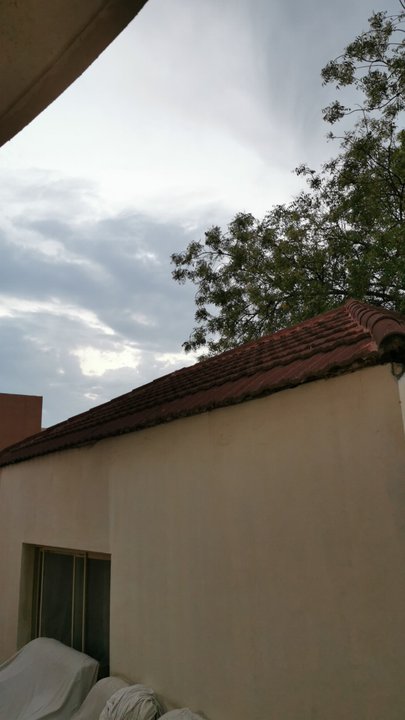 مشاركاتي في أنت الراصد