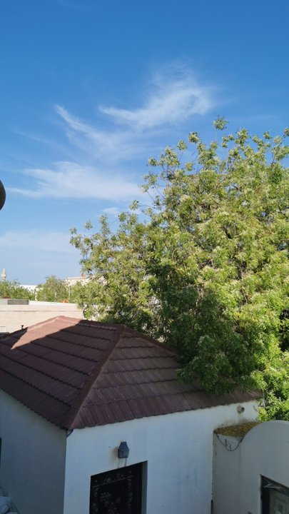 مشاركاتي في أنت الراصد