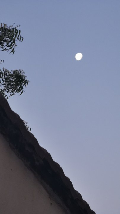 مشاركاتي في أنت الراصد