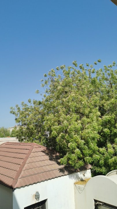 مشاركاتي في أنت الراصد