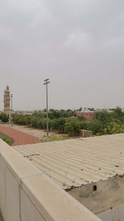 مشاركاتي في أنت الراصد