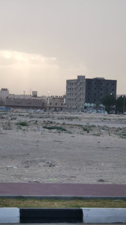 مشاركاتي في أنت الراصد