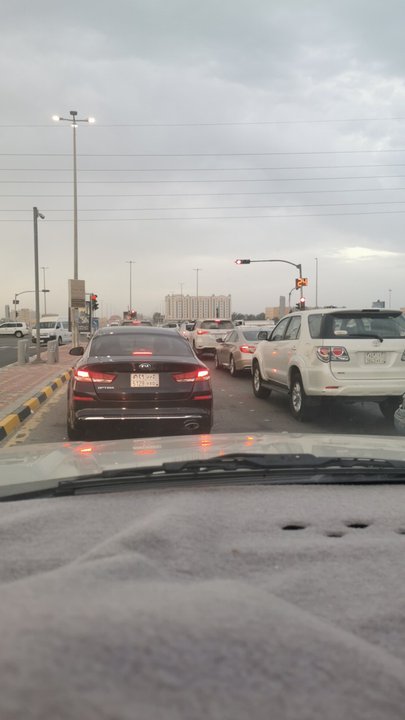 مشاركاتي في أنت الراصد