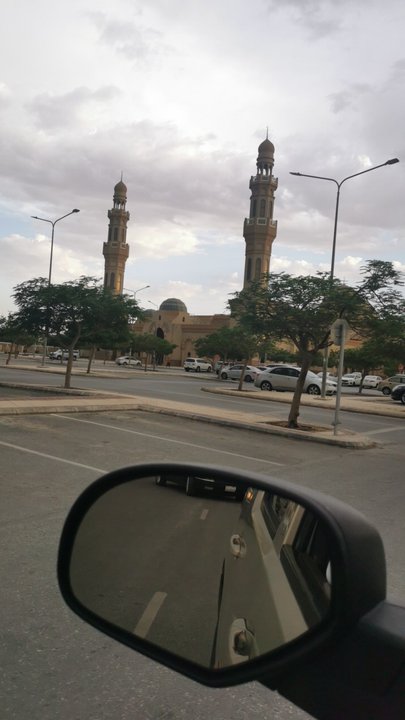 مشاركاتي في أنت الراصد