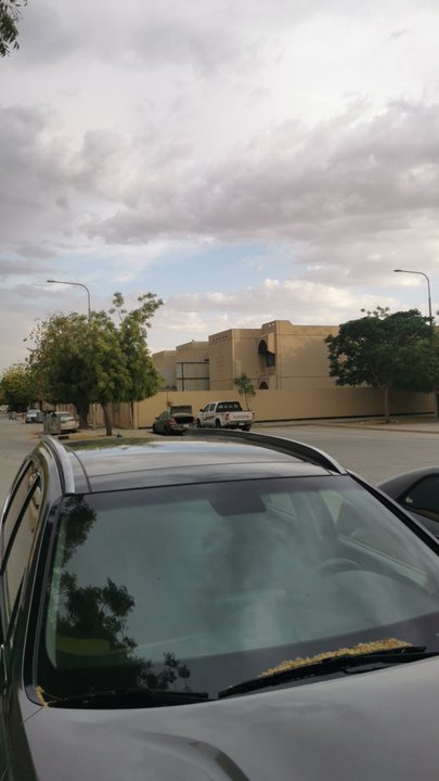 مشاركاتي في أنت الراصد