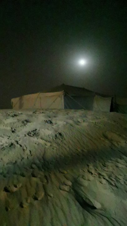 مشاركاتي في أنت الراصد