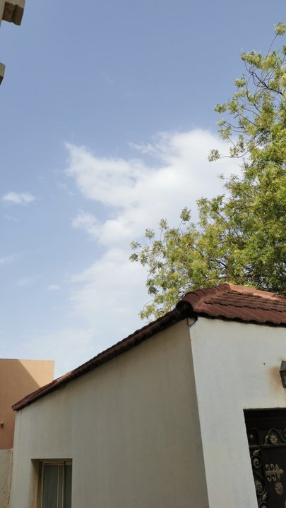 مشاركاتي في أنت الراصد