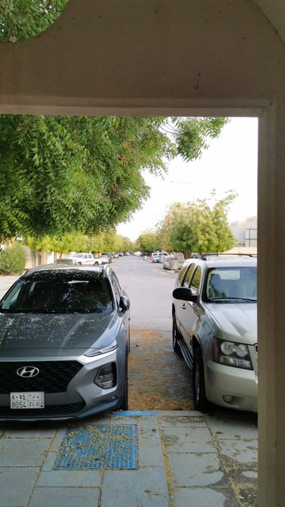 مشاركاتي في أنت الراصد