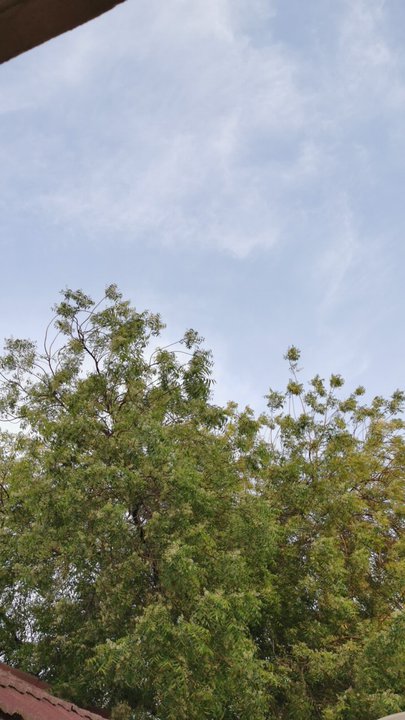 مشاركاتي في أنت الراصد