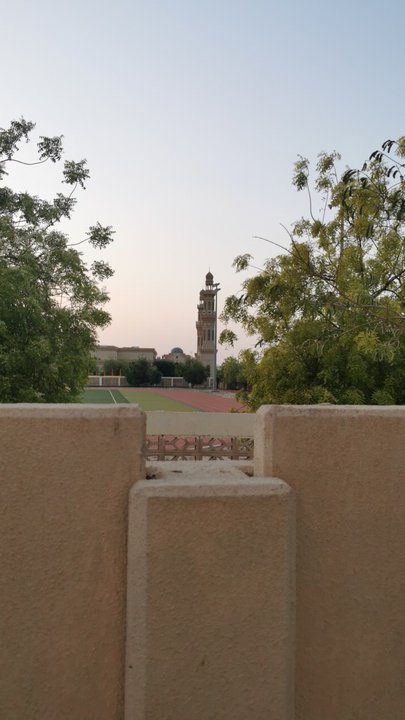 مشاركاتي في أنت الراصد