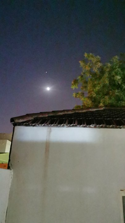 مشاركاتي في أنت الراصد