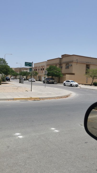 مشاركاتي في أنت الراصد