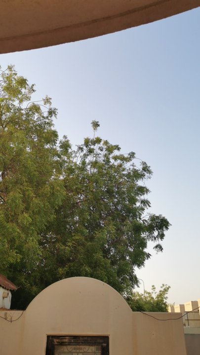 مشاركاتي في أنت الراصد