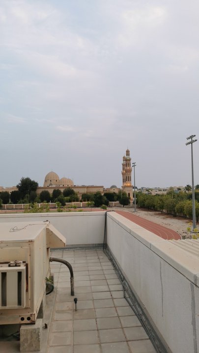 مشاركاتي في أنت الراصد