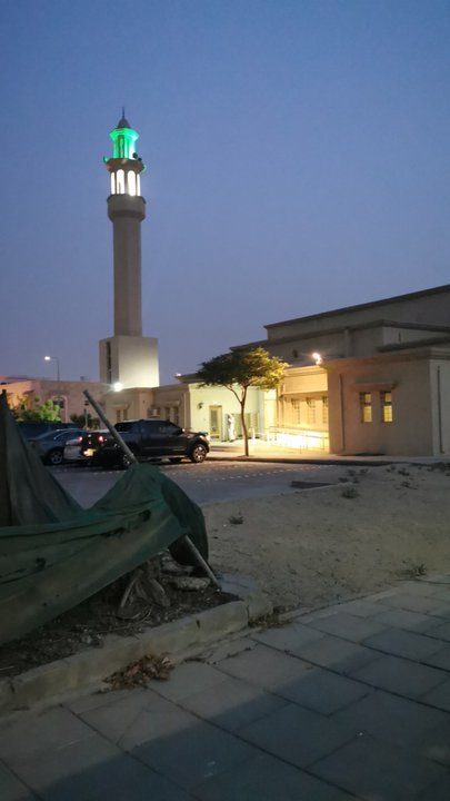 مشاركاتي في أنت الراصد