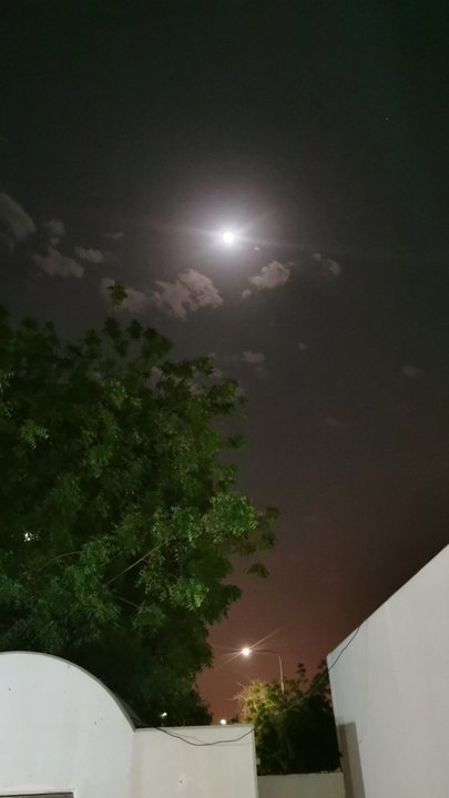 مشاركاتي في أنت الراصد