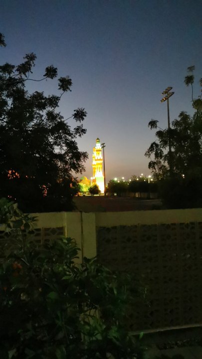 مشاركاتي في أنت الراصد