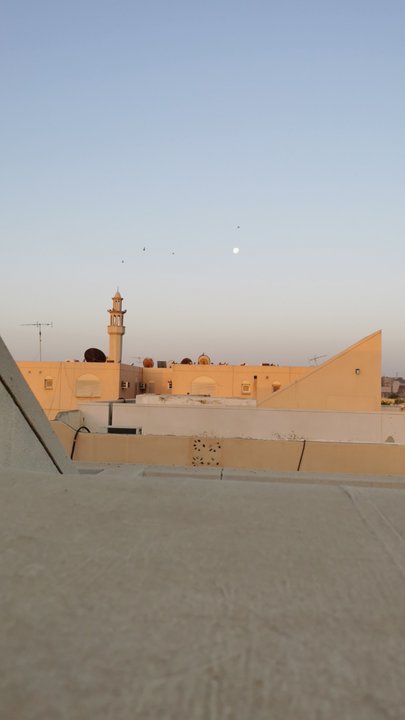 مشاركاتي في أنت الراصد