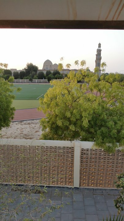 مشاركاتي في أنت الراصد