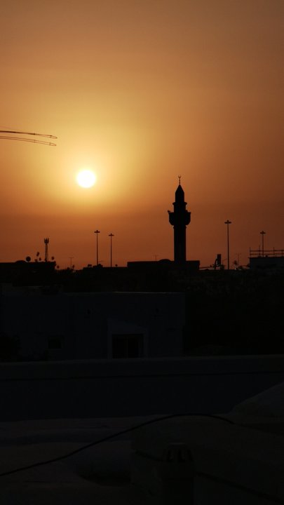 مشاركاتي في أنت الراصد