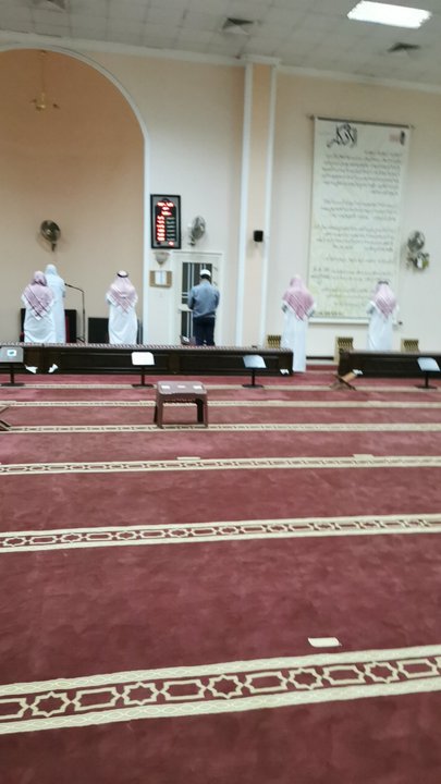 مشاركاتي في أنت الراصد