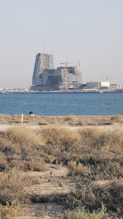 مشاركاتي في أنت الراصد