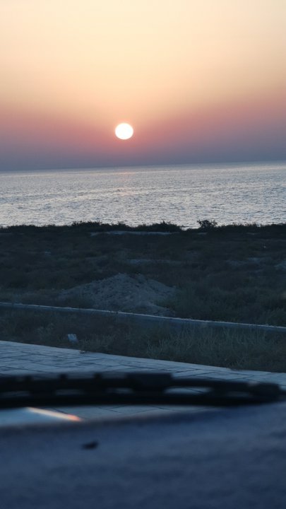 مشاركاتي في أنت الراصد