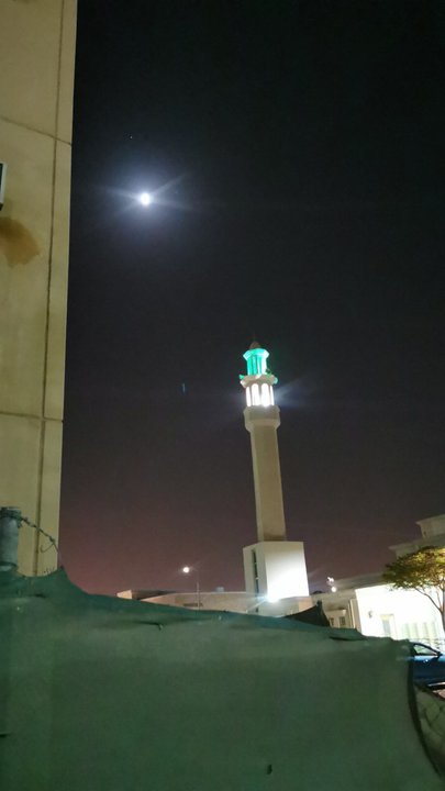 مشاركاتي في أنت الراصد