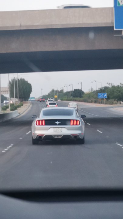 مشاركاتي في أنت الراصد