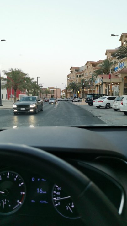 مشاركاتي في أنت الراصد