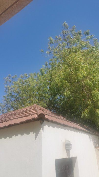 مشاركاتي في أنت الراصد