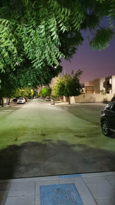 مشاركاتي في أنت الراصد