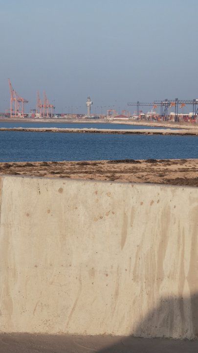 مشاركاتي في أنت الراصد