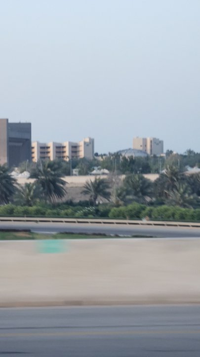 مشاركاتي في أنت الراصد