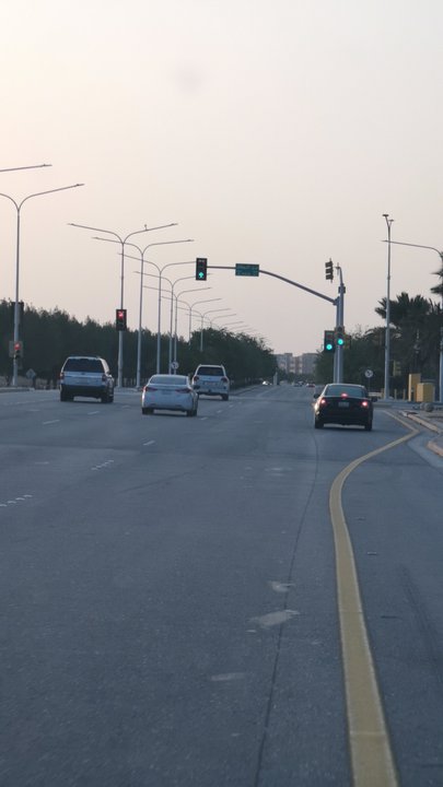 مشاركاتي في أنت الراصد