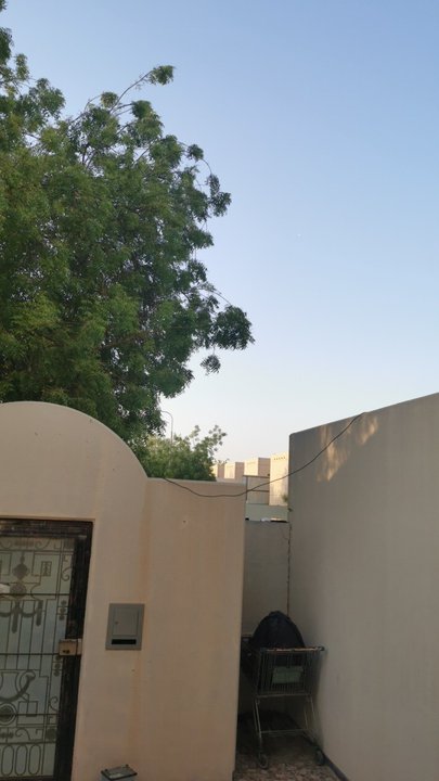 مشاركاتي في أنت الراصد