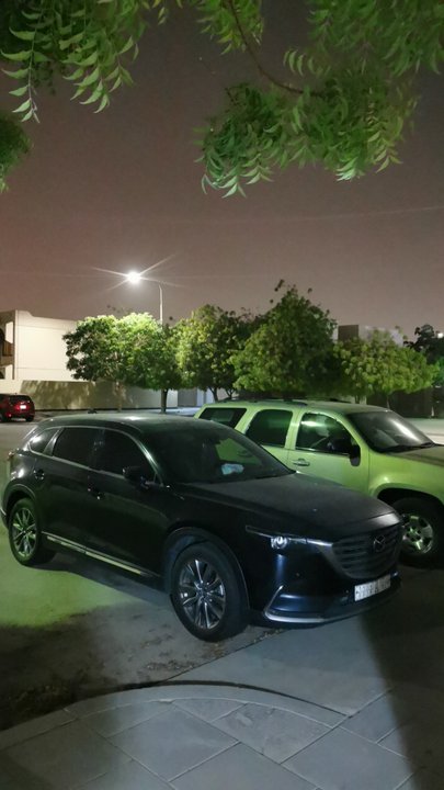 مشاركاتي في أنت الراصد