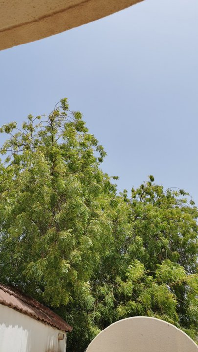 مشاركاتي في أنت الراصد