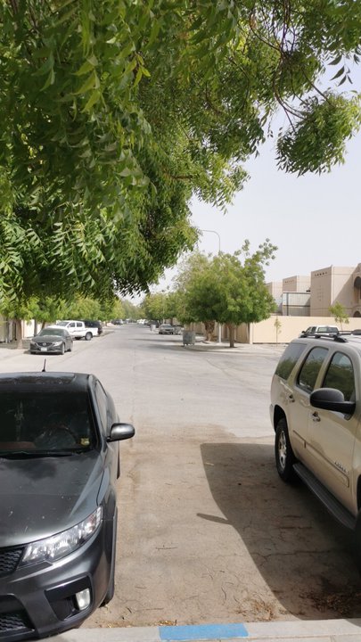 مشاركاتي في أنت الراصد