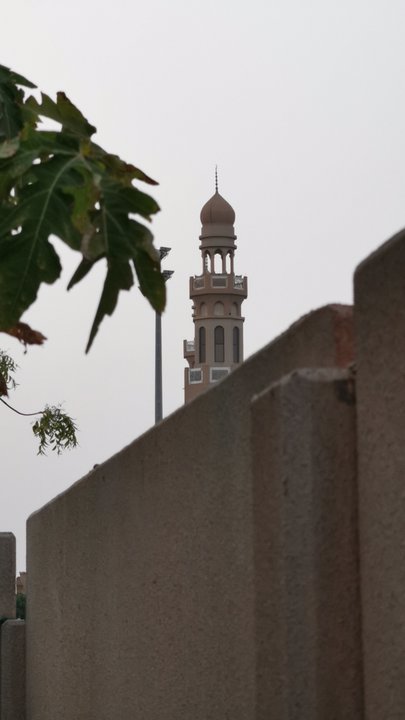 مشاركاتي في أنت الراصد