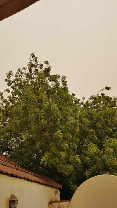 مشاركاتي في أنت الراصد