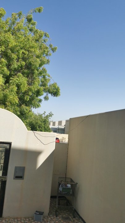 مشاركاتي في أنت الراصد