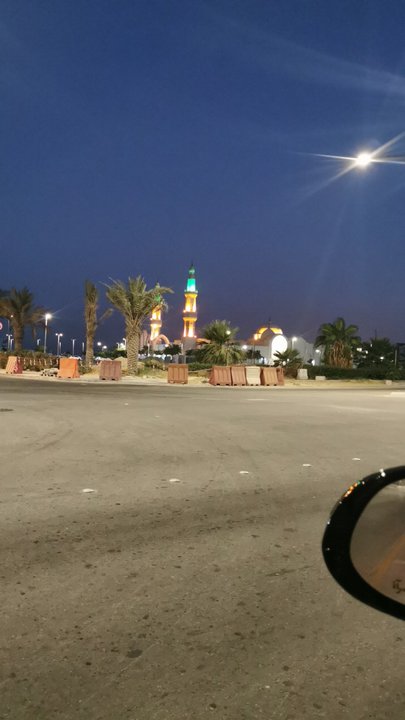 مشاركاتي في أنت الراصد