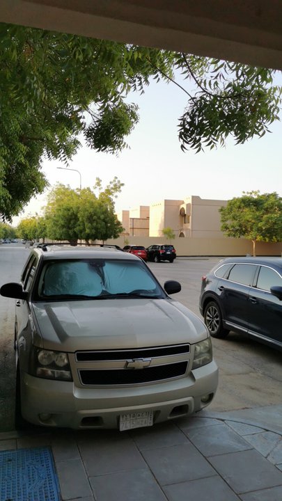 مشاركاتي في أنت الراصد