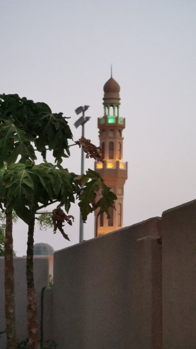 مشاركاتي في أنت الراصد