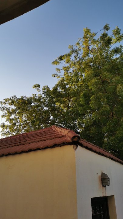 مشاركاتي في أنت الراصد