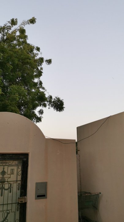 مشاركاتي في أنت الراصد