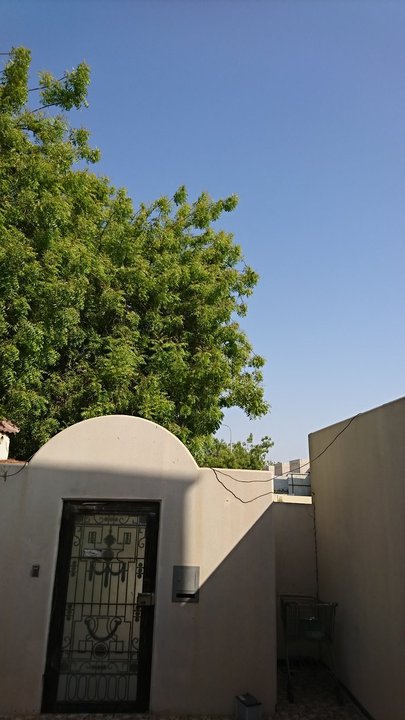 مشاركاتي في أنت الراصد